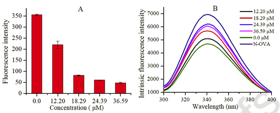 异槲皮素对OVA荧光强度以及蛋白内荧光的影响